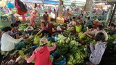 Sơ chế, đóng gói hàng nông sản tại nguồn: Chưa đồng bộ, thiếu biện pháp chế tài