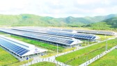 Nhiều doanh nghiệp xoay trở tìm nguyên liệu