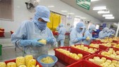 Chế biến sản phẩm dứa đóng hộp tại nhà máy của Công ty CP xuất nhập khẩu nông sản An Giang. Ảnh: TTXVN