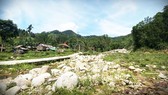 Miền Trung trước mùa mưa, bão: Ưu tiên nguồn lực tái thiết cơ sở hạ tầng