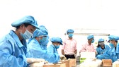 Đưa Bến Tre trở thành tỉnh khá của khu vực ĐBSCL