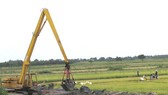 Mekong farmers urged summer-autumn rice harvest