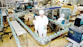 Sản xuất sữa cung ứng bình ổn thị trường tại một doanh nghiệp. Ảnh: THÀNH TRÍ