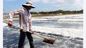 Hoang phế dự án kho dự trữ muối