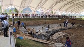 Khu bảo tồn bãi cọc Cao Quỳ, Hải Phòng