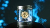 Từ mật khẩu cho đến tiền ảo bitcoin đều có thể lưu trữ ở “hộp thời gian”