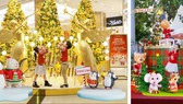 Cây thông “siêu cao khổng lồ” và cây thông “biết bay” tại TPHCM, bạn đã thử chưa?