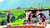 Đường lên mốc biên giới Bình Liêu. Ảnh: TRẦN THẾ DŨNG
