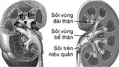 Ảnh minh họa: Nguồn Internet