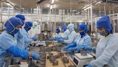 Cơ hội nào cho doanh nghiệp nội được tiếp sức?