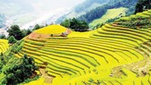 Xây dựng sản phẩm du lịch chuyên biệt