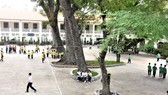 Bệnh thành tích không đến từ giáo viên
