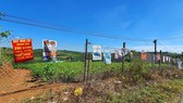 Bát nháo phân lô, bán nền tại Nam Trung bộ - Tây Nguyên: Thủ tướng chỉ đạo làm rõ