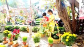 Mang xuân về nơi ta ở