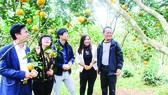 Khách tham quan một mô hình sản xuất nông nghiệp hiệu quả ở huyện Vũ Quang, tỉnh Hà Tĩnh