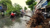 Chủ động ứng phó thời tiết nguy hiểm ở Nam bộ