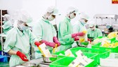 Kim ngạch xuất khẩu vào thị trường Hoa Kỳ tăng gần 50%