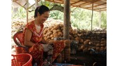 Làng Văn hóa du lịch Chợ Lách: Xây dựng cảnh quan đạt 40%