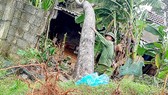 Nghệ An ngập nặng do... mưa lớn