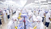 Xuất khẩu thủy sản hướng tới mục tiêu 11 tỷ USD vào năm 2020. Ảnh: Nguyễn Thanh