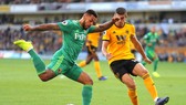 Nhận định Watford - Wolves: Bầy sói phô nanh vuốt (Mới cập nhật)
