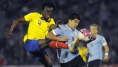 Luis Suarez rất có duyên ghi bàn vào lưới Ecuador.