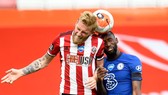 Chelse3a them xa Sheffield về thể lực