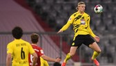 Erling Haaland đang bay cao trên đấu trường