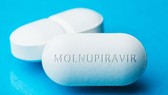 Các thí nghiệm với molnupiravir đang được thực hiện bởi các nhà nghiên cứu tại phòng thí nghiệm Merck.
