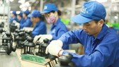 Dự báo của tổ chức quốc tế và chỉ tiêu tăng trưởng chỉ đạt được trong kịch bản cao