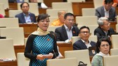Đại biểu nhắc chính sách lương hưu cho cán bộ nghỉ trước năm 1993