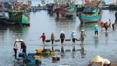 Trong quý 3, khu vực nông, lâm nghiệp và thủy sản tăng 1,04%