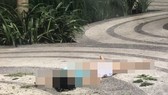 Hiện trường vụ việc. Ảnh: CHÍ THẠCH