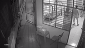 Hình ảnh vụ việc cắt từ clip