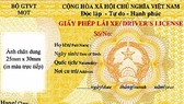 Thí điểm dịch vụ cấp, đổi GPLX qua mạng trong 6 tháng