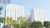 Cho thuê căn hộ chung cư theo giờ, ngắn ngày là vi phạm pháp luật