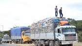 Tăng cường xử lý xe cải tạo không đúng quy định