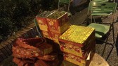 Ngang nhiên vận chuyển pháo lậu trên cao tốc
