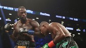 Deontay Wilder (trái) đã thổi bay Luis Ortiz trong cơn cuồng nộ