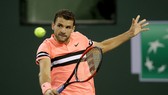 Dimitrov tiếp tục kém duyên ở Indian Wells