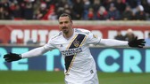 Ibra sẽ không đến với World Cup vào mùa Hè này