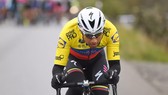 Jhonatan Narvaez trong màu áo của Quick-Step Floors