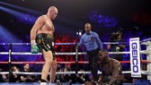 Wilder "né" Fury hay thực chất do lý do khách quan?