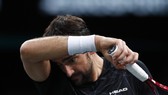 Sự thất vọng của Marin Cilic