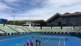 Melbourne Park sẽ tổ chức Tour đấu mùa Hè nước Úc trong năm nay