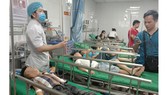 16 học sinh tiểu học ở Nghệ An nhập viện vì bị ong đốt