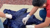 Phát hiện bộ xương người trôi dạt vào bờ biển