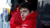 Charles Leclerc đang được kỳ vọng rất cao