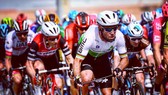 Mark Cavendish ở lần gần nhất xuất hiện trên đường đua