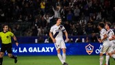 Zlatan Ibrahimovic